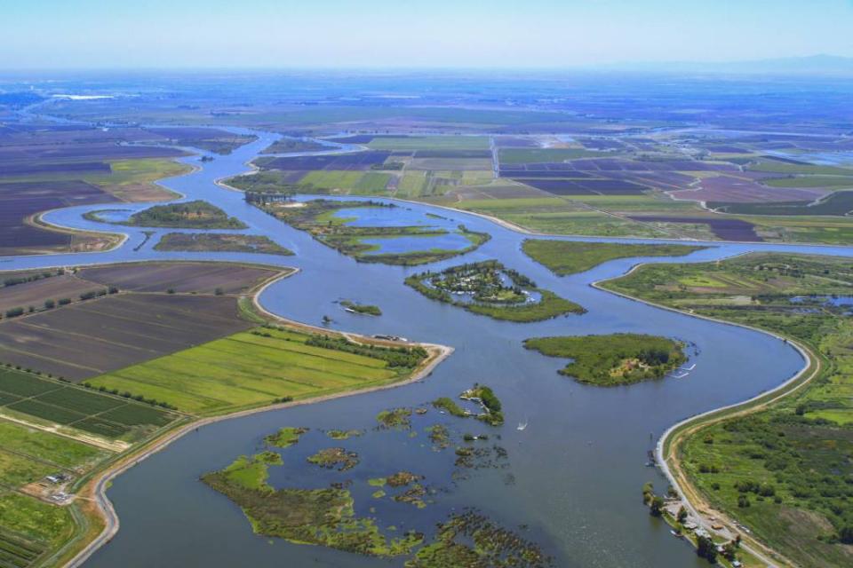 Sacramento-San Joaquin Delta.  Source: California Department of Water Resources